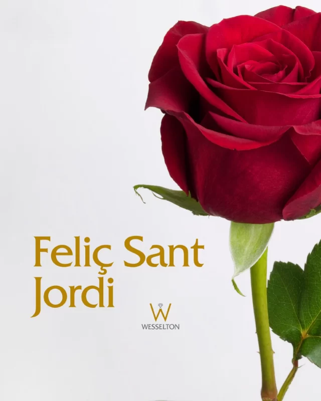 🌹 Sant Jordi: un dia que amor, és cultura, és poesia compartida 📖

Celebrem aquest dia amb peces que, com un bon llibre, tenen capítols plens de significat. I com una rosa, són símbol de tendresa, bellesa i vida.

Feliç Diada de Sant Jordi ❤️

#WESSELTON #Joieria #Platjadaro #CostaBrava
